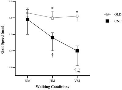 Changes in gait performances during walking with head movements in older adults with chronic neck pain